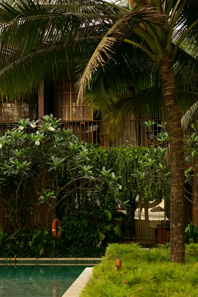 Timber resort balconies and a pool surrounded by tropical palms